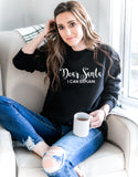 Dear Santa I Can Explain ~ Various Colours ~ Christmas sweatshirt jumper top