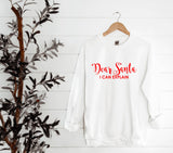 Dear Santa I Can Explain ~ Various Colours ~ Christmas sweatshirt jumper top