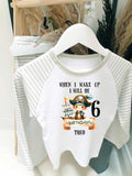 Personalised Pirate Birthday Raglan Pyjama Set – When I Wake Up I Will Be 1,2,3,4,5,6,7,8,9 Pyjamas ~ Pirate ~ Pirate Ship ~ Birthday Pjs