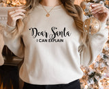 Dear Santa I Can Explain ~ Various Colours ~ Christmas sweatshirt jumper top
