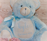 Personalised Teddy Bear Newborn Gift